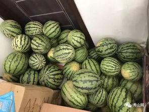 热气球上的吃瓜视频