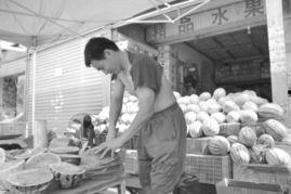 临沂吃瓜比赛事件真相视频,一场意外的网络狂欢