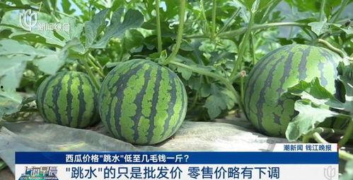 荷兰网红吃瓜视频大全集,揭秘荷兰网红圈那些事儿