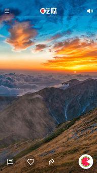 海角吃瓜真实视频下载安装,轻松获取热门吃瓜瞬间