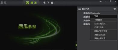 吃瓜真实声音视频播放下载,揭秘真实声音视频的下载与播放过程