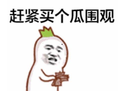 吃瓜群众惊喜尬笑视频,视频笑料横生引热议