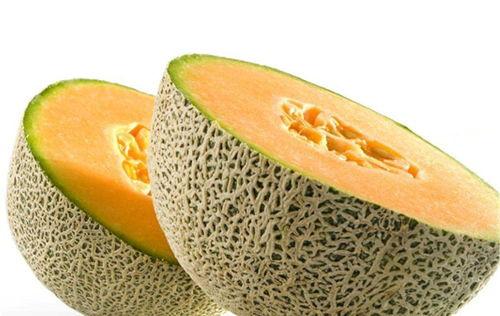 狗吃新疆哈密瓜好吗视频