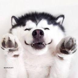 吃瓜现场视频素材,吃瓜群众围观大事件，精彩瞬间一网打尽