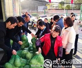 宁强县吃瓜事件始末视频,一场网络舆论的风波与反思