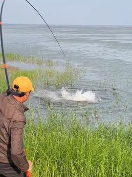 老大爷吃瓜钓鱼视频大全,老大爷吃瓜钓鱼视频大盘点