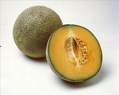 吃梅赛德斯瓜视频教程,跟随梅赛德斯瓜视频教程学习汽车维修