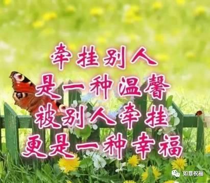 我坚持吃瓜顺口溜大全视频,解锁瓜界新姿势