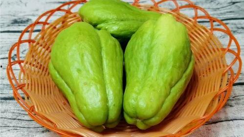 牛会吃佛手瓜吗怎么吃视频,探索新型饲料与美味佳肴