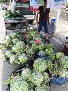 南昌象湖吃瓜事件视频