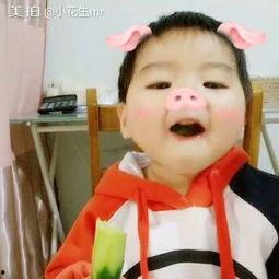 猪和小孩吃瓜的视频,童趣盎然画面萌