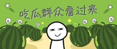 泡泡又困了视频吃瓜,揭秘吃瓜背后的趣味与真相