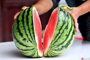 两个老人吃瓜视频大全,两位老人吃瓜视频大盘点