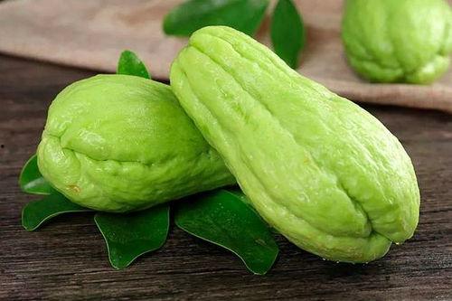 瓜菜没熟吃会怎么样吗视频,瓜菜未熟食用危害揭秘