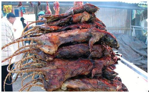 大瓜吃鸵鸟肉视频播放,揭秘鸵鸟肉烹饪全过程，视频播放量爆表！