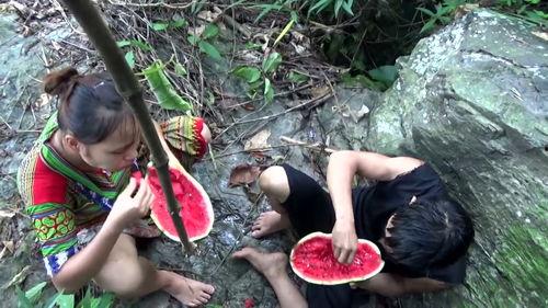 野外生存吃瓜视频,跟着吃瓜视频学生存技巧