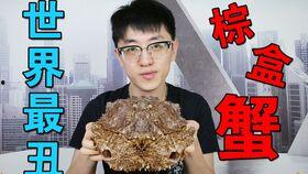 夏庄吃瓜事件视频大全集,视频大全集深度解析