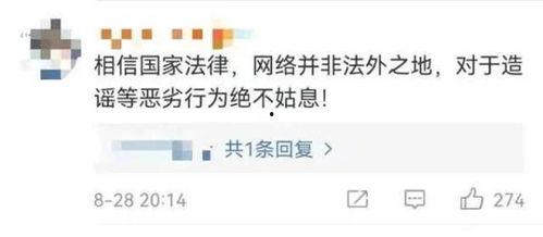 吃瓜不传谣视频下载,视频下载背后的真相与启示