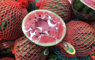 吃瓜群众月亮视频